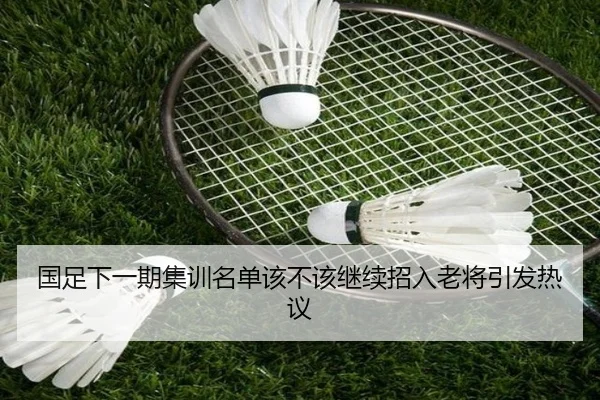 国足下一期集训名单该不该继续招入老将引发热议
